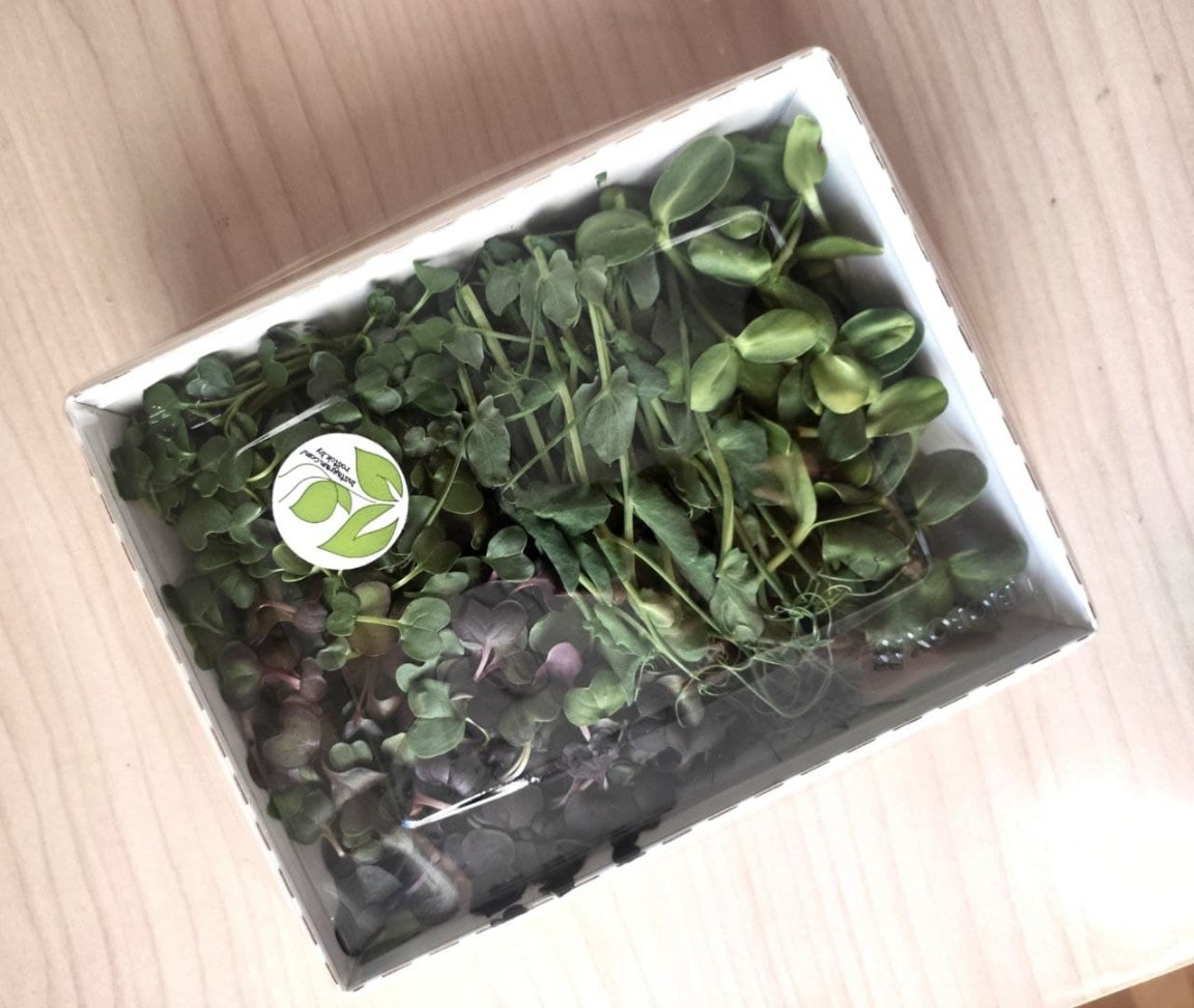 Набор микрозелени «Стандарт» фото 2